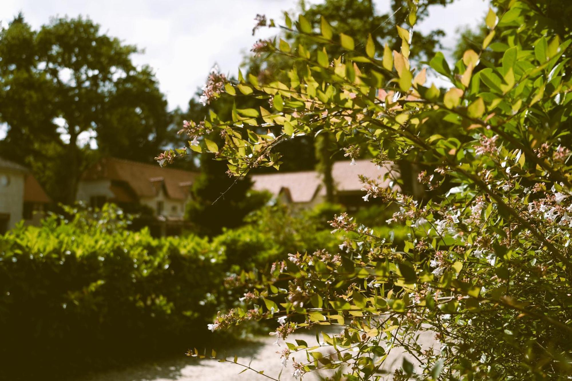 Hostellerie Du Lys Lamorlaye エクステリア 写真